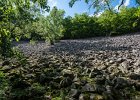 2016 07- D8H6232 : Besök i Växjö, Skåne, Söderåsens Nationalpark